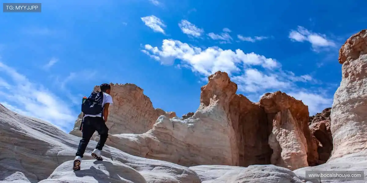 高清多类别盛宴：真人视讯捕鱼体育，升级娱乐